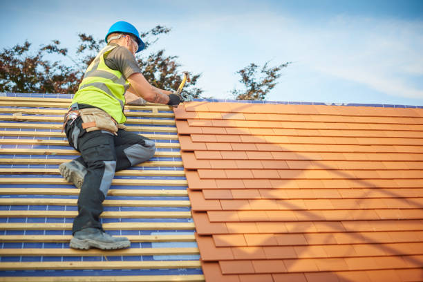 Best Roof Moss and Algae Removal  in North Lynnwood, WA